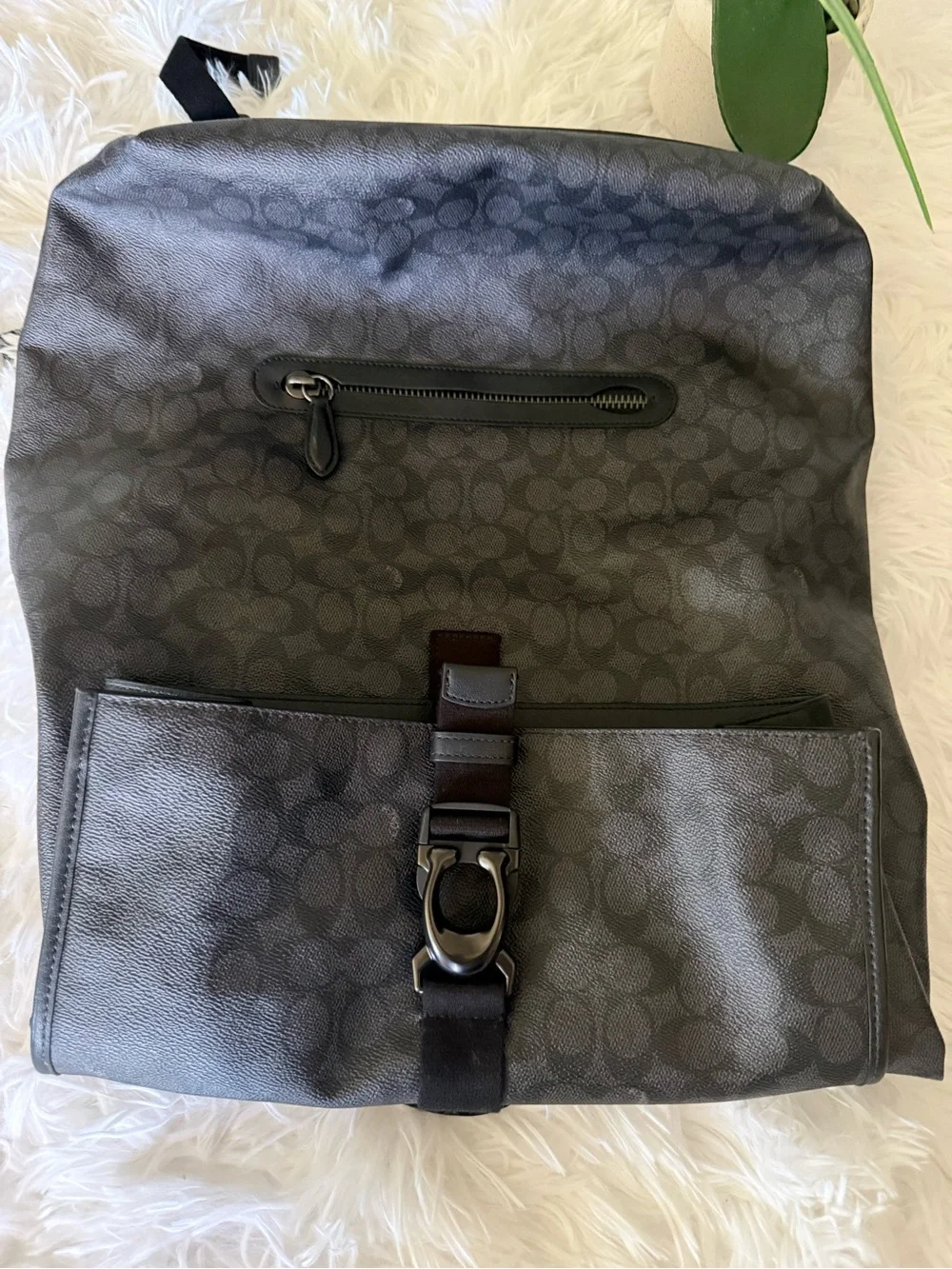 Coach stylish roll